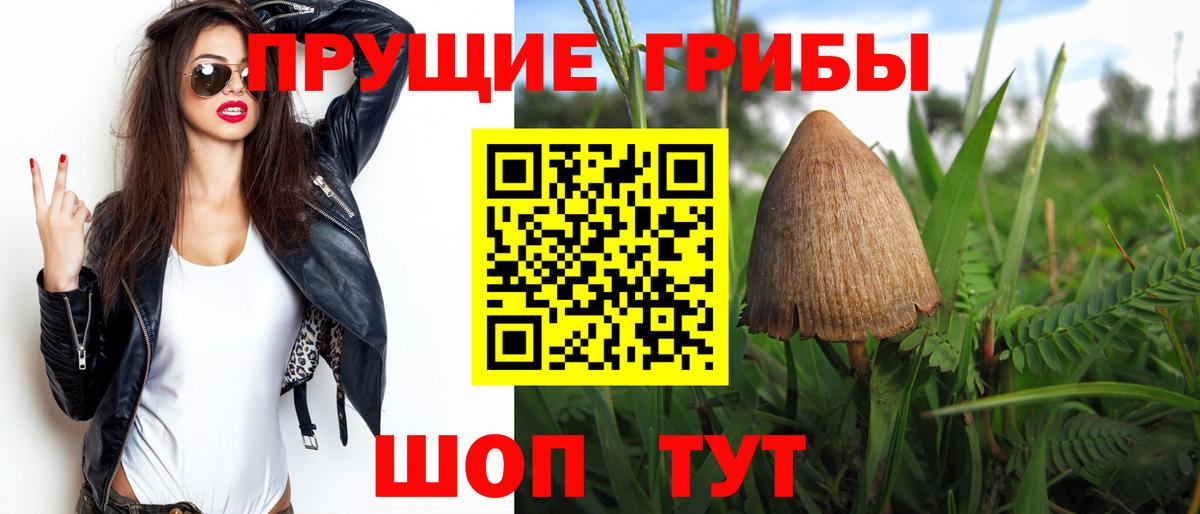 Псилоцибиновые грибы Psilocybe Павлово